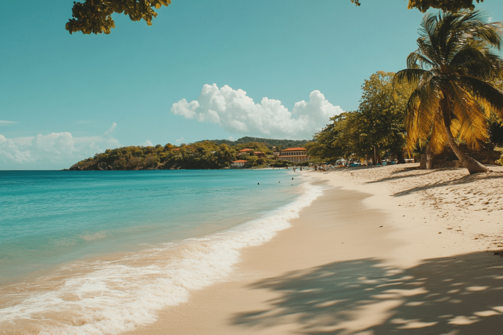Découverte de la Martinique : culture, plages et excursions lors d’une croisière